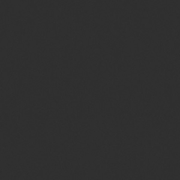 Encre noire XGC308