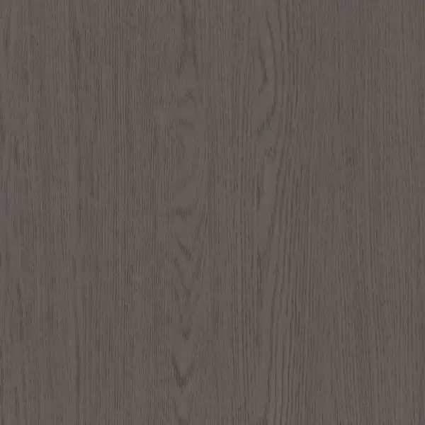 XGM311 Ch&ecirc;ne gris racines