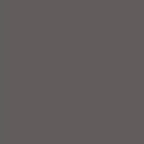 C205-Gris fonc&eacute;