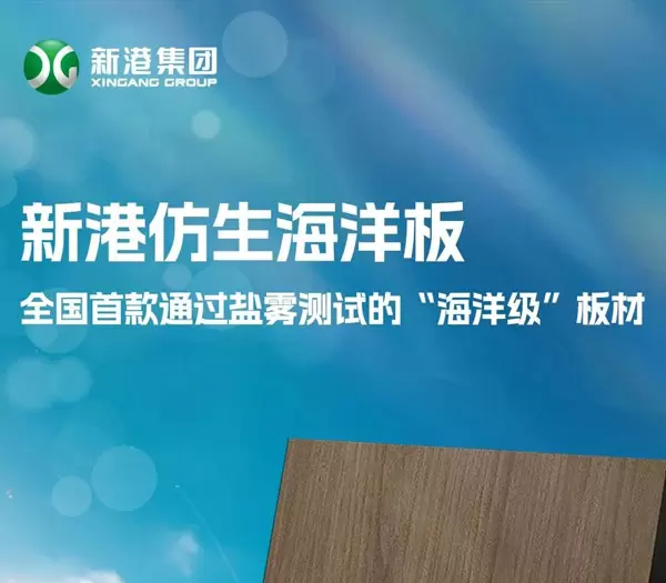 Le contreplaqu&eacute; marin biomim&eacute;tique Xingang r&eacute;ussit le test de pulv&eacute;risation saline